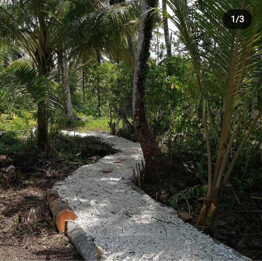 Palambak Paradise Resort Pulau Banyak Pulau Palambakbesar エクステリア 写真